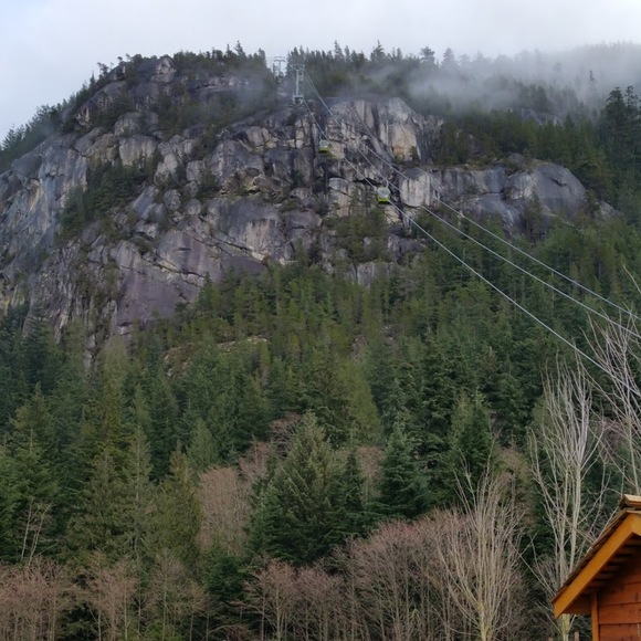 Meet your Posher, Steven - Picture 1 of 1